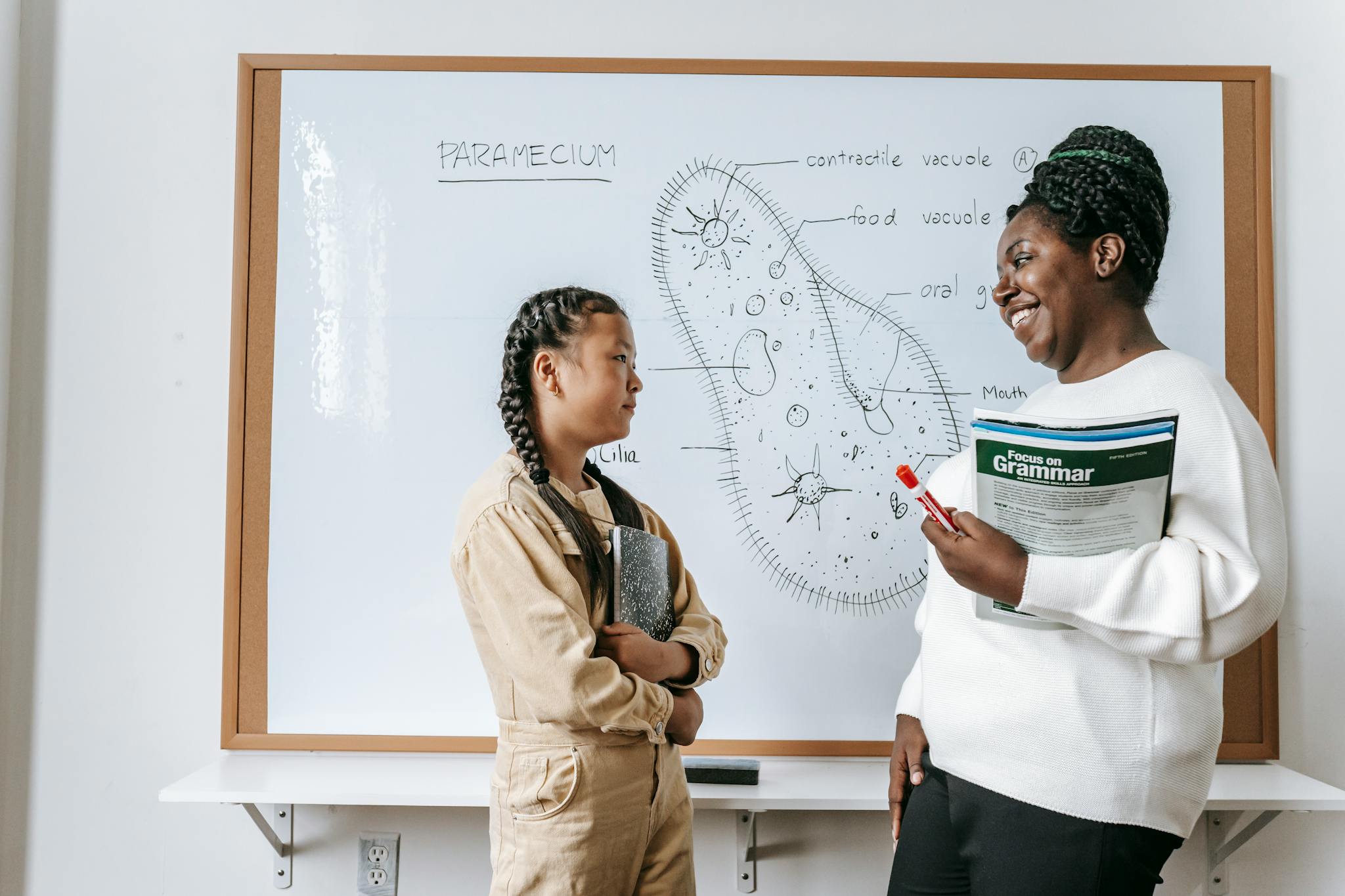 Home 2 Side view of smiling African American female teacher holding textbooks while communicating with Asian teenage girl after lesson